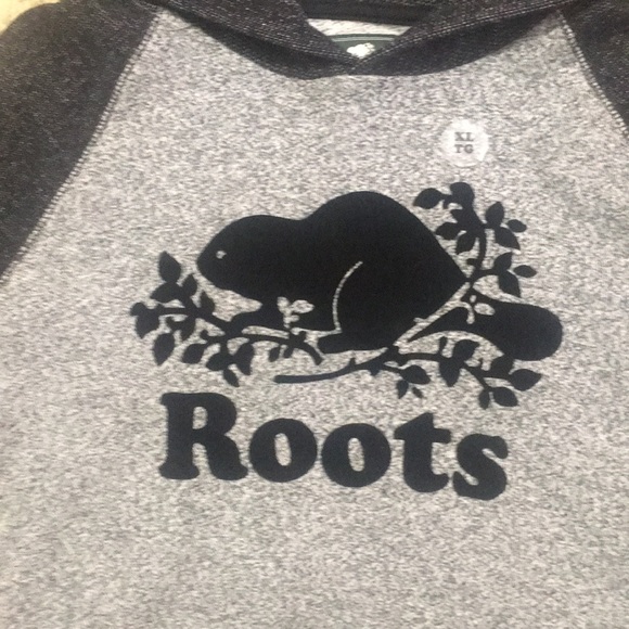 Roots boys xl hoodie - Picture 2 of 5